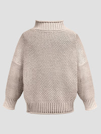 Harlow Turtleneck Long Sleeve Sweater