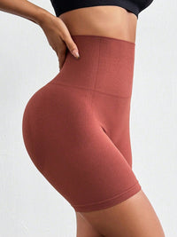 Hannah Seamless High Waist Active Shorts