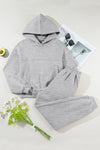 Claire Dropped Shoulder Long Sleeve Hoodie and Pants Active Set