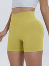 Ainhoa High Waist Active Shorts