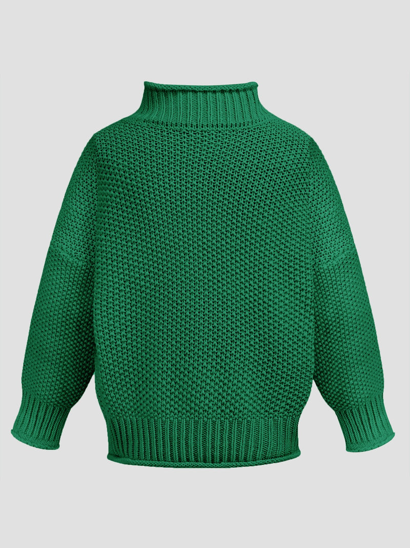 Harlow Turtleneck Long Sleeve Sweater