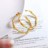 Joy Titanium Steel C-Hoop Earrings