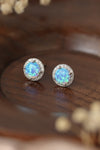 Maggie 925 Sterling Silver Platinum-Plated Opal Round Stud Earrings