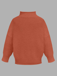 Harlow Turtleneck Long Sleeve Sweater