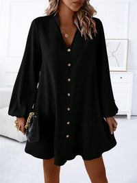 Aspen Notched Long Sleeve Mini Dress