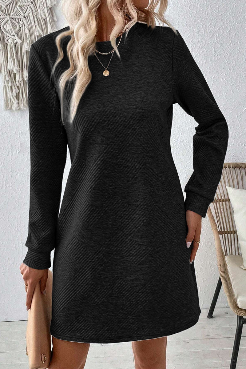 Jazlyn Textured Round Neck Long Sleeve Mini Dress