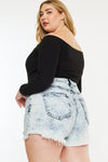 Kenia Distressed High Waist Denim Shorts