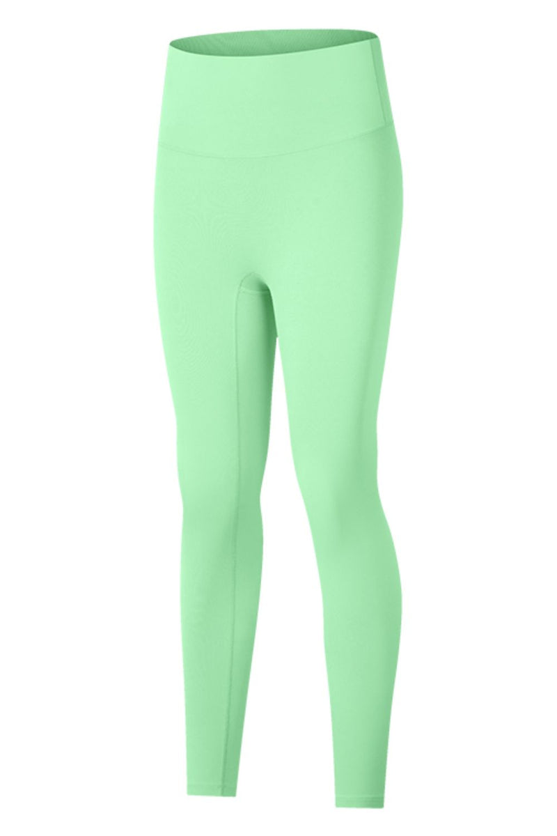 Ariella High-Rise Wide Waistband Yoga Leggings